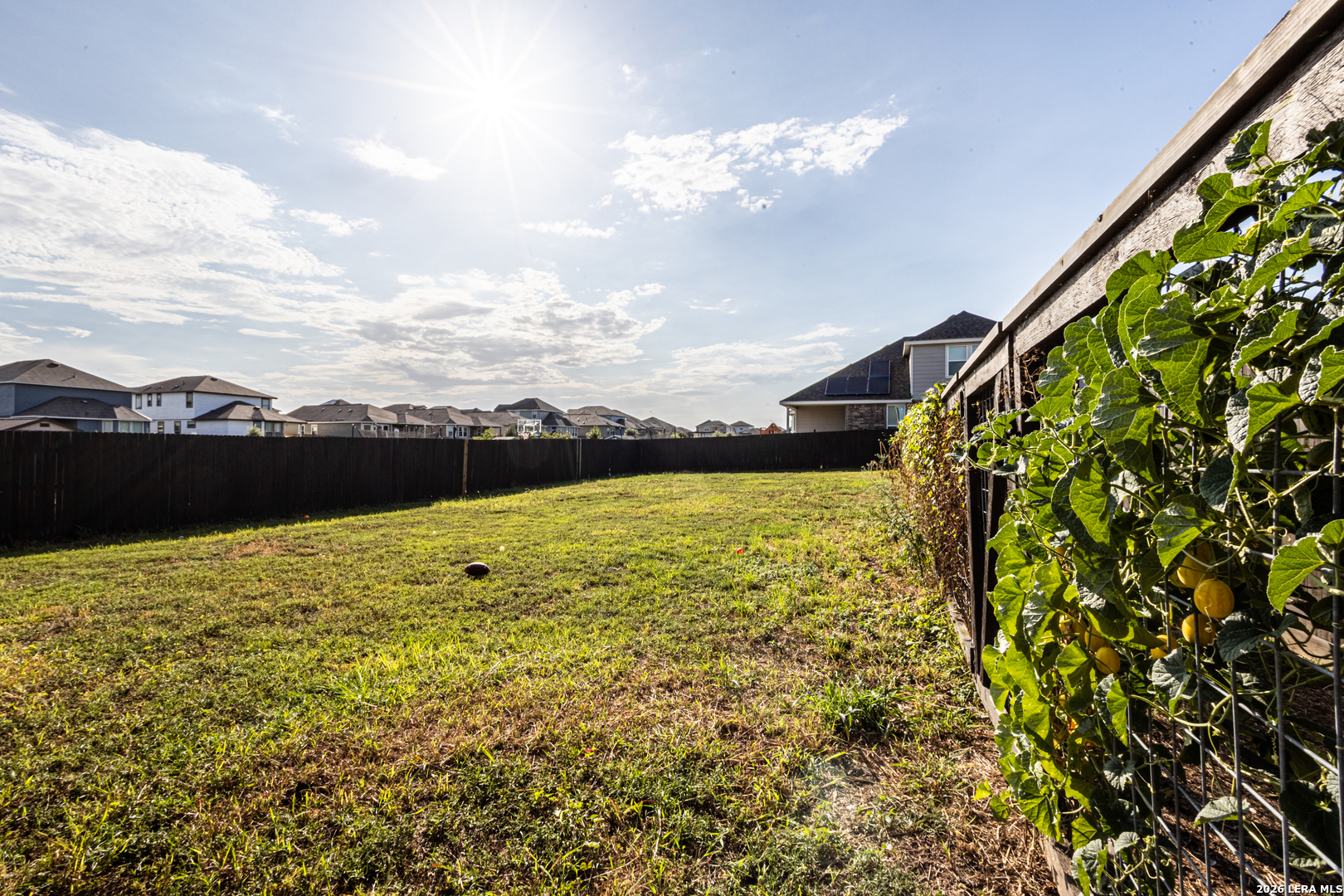 3229 Mountain Mint New Braunfels TX 78130