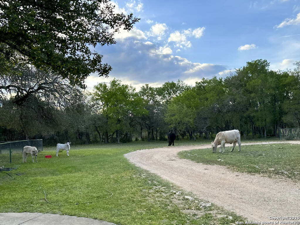 370 Pr 3502 Hondo TX 78861