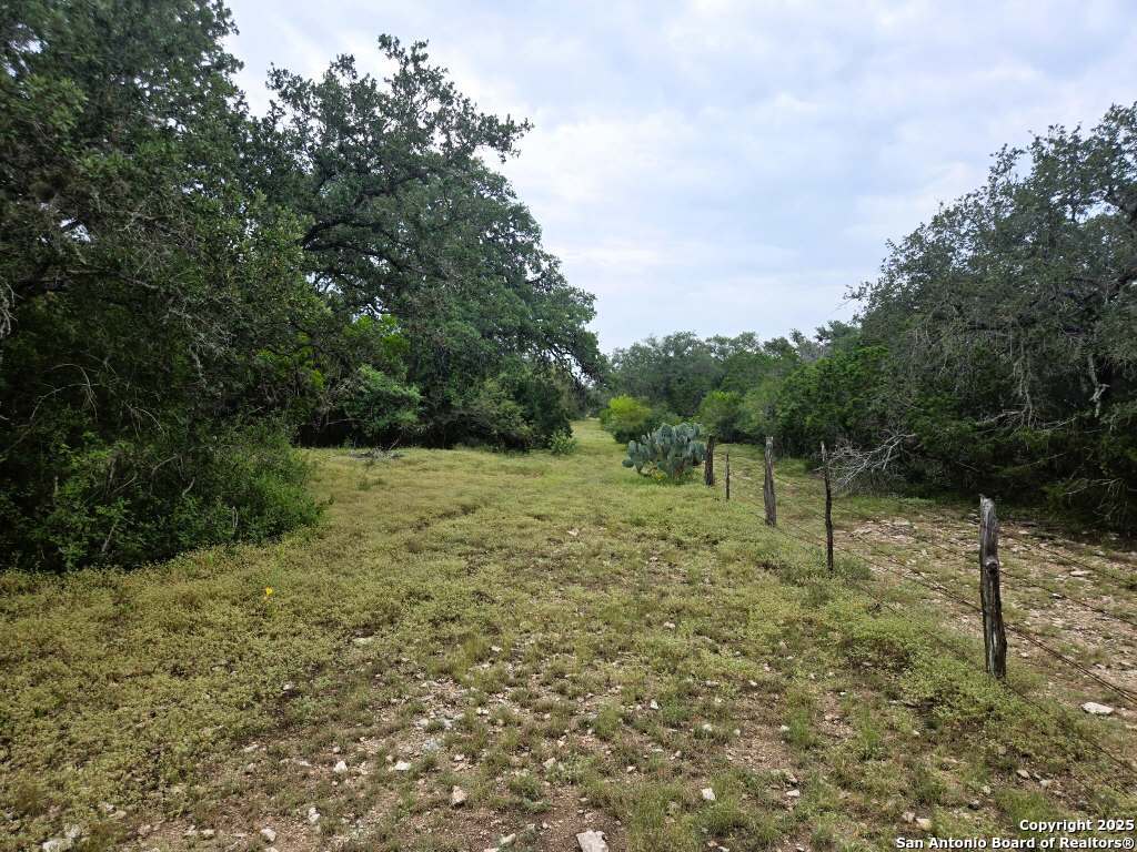 370 Pr 3502 Hondo TX 78861