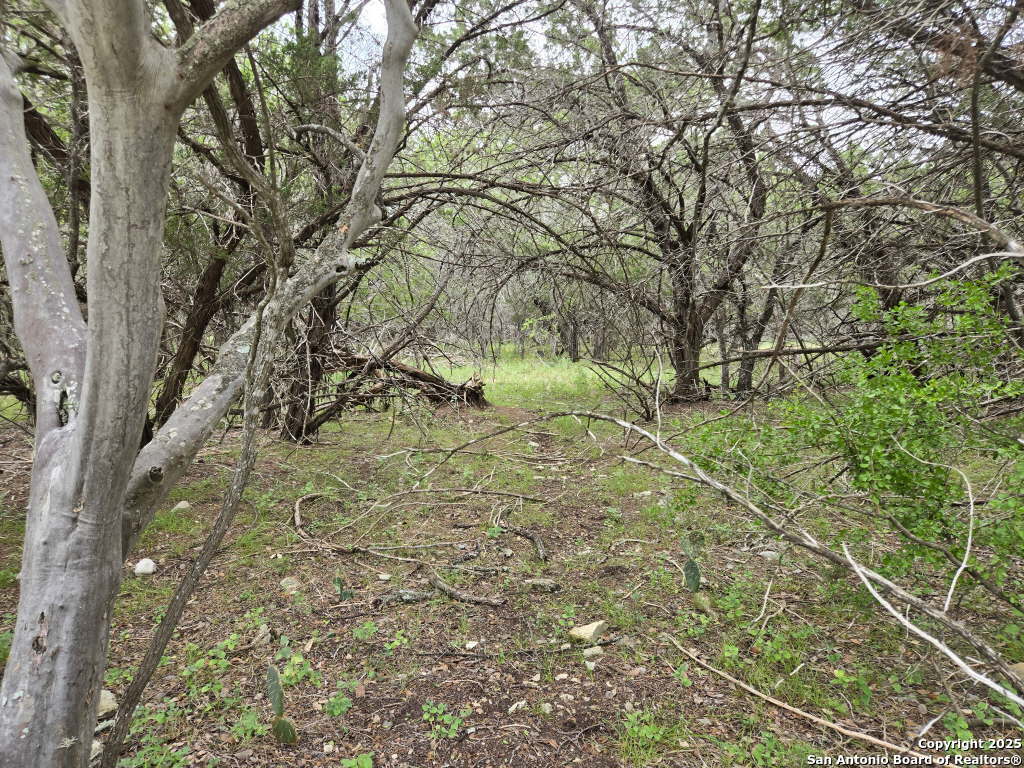 370 Pr 3502 Hondo TX 78861