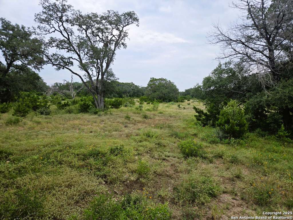 370 Pr 3502 Hondo TX 78861
