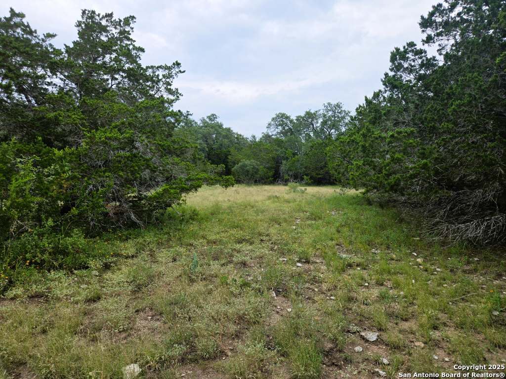 370 Pr 3502 Hondo TX 78861
