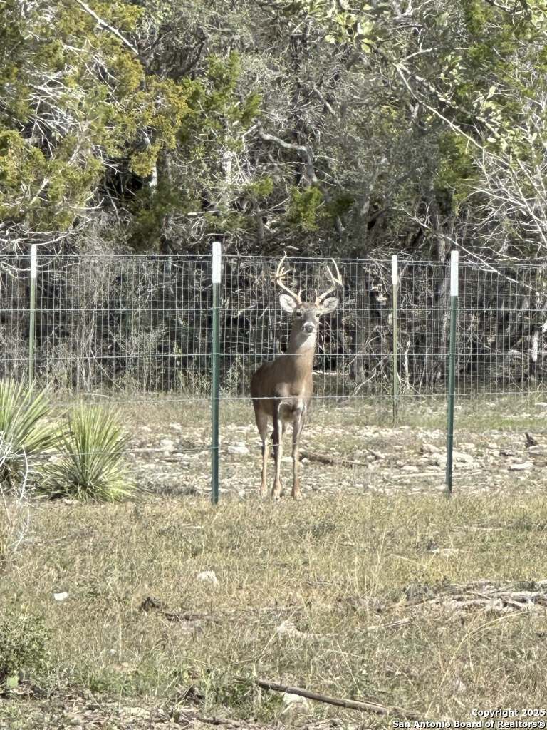 370 Pr 3502 Hondo TX 78861