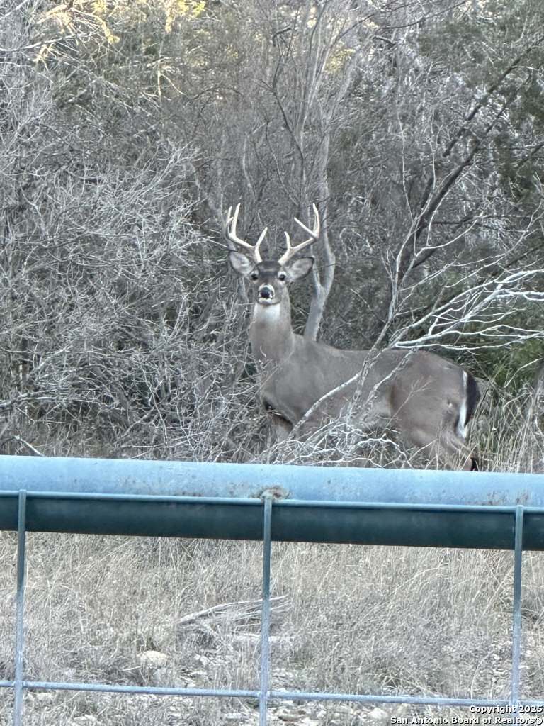370 Pr 3502 Hondo TX 78861