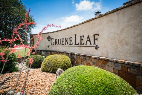 924 Gruene Spring New Braunfels TX 78130