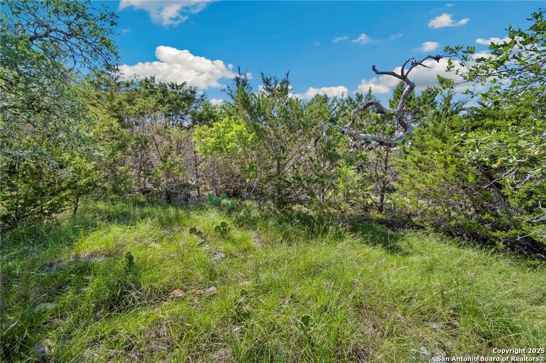 0 Tbd, Lot 473 New Braunfels TX 78132