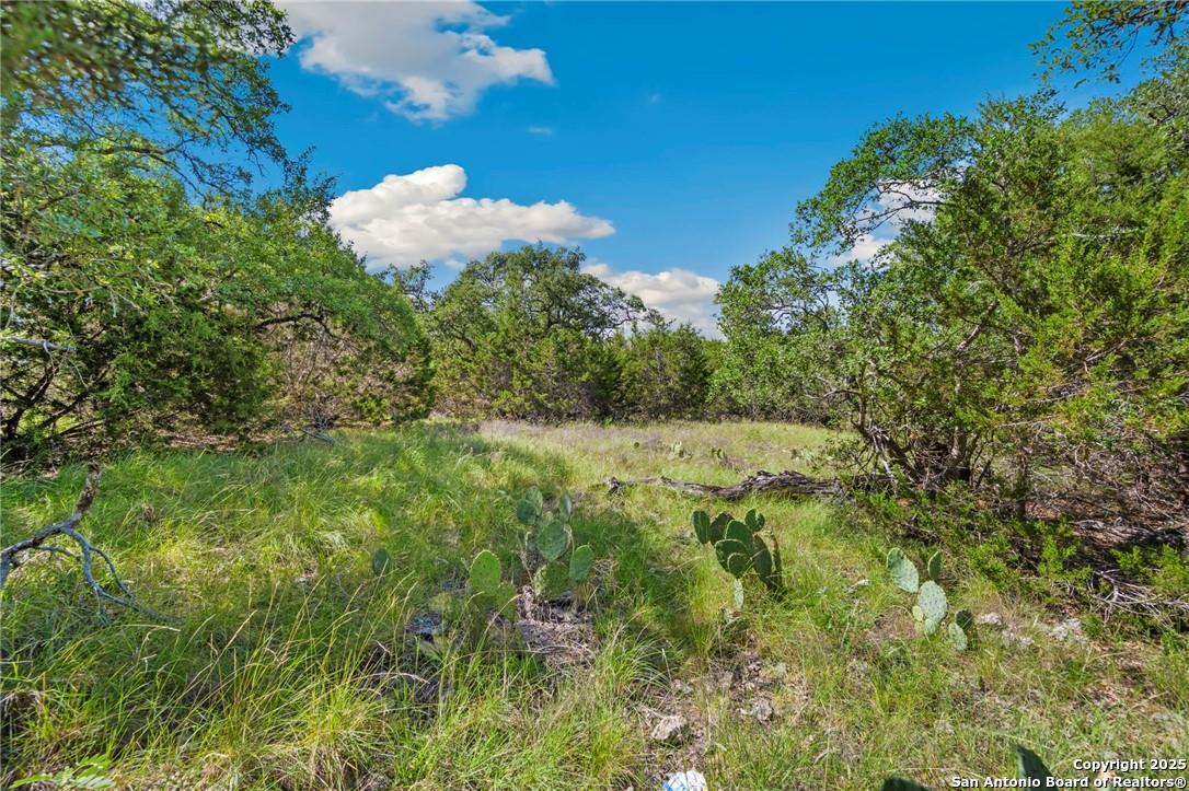 0 Tbd, Lot 473 New Braunfels TX 78132