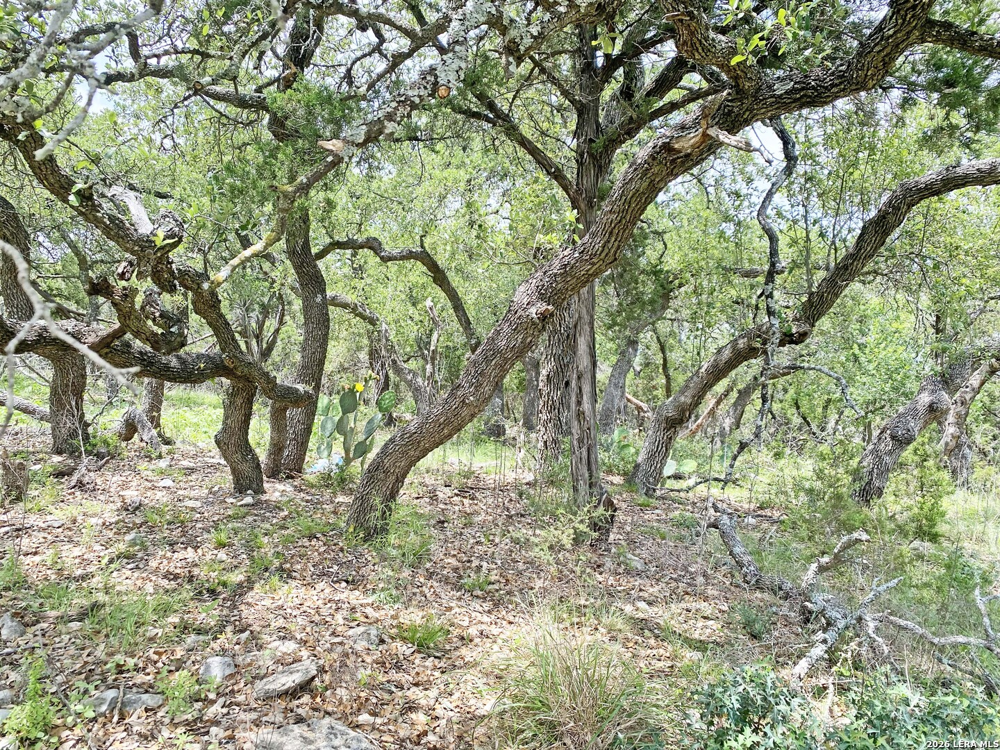 25726 Echo Mountain San Antonio TX 78260