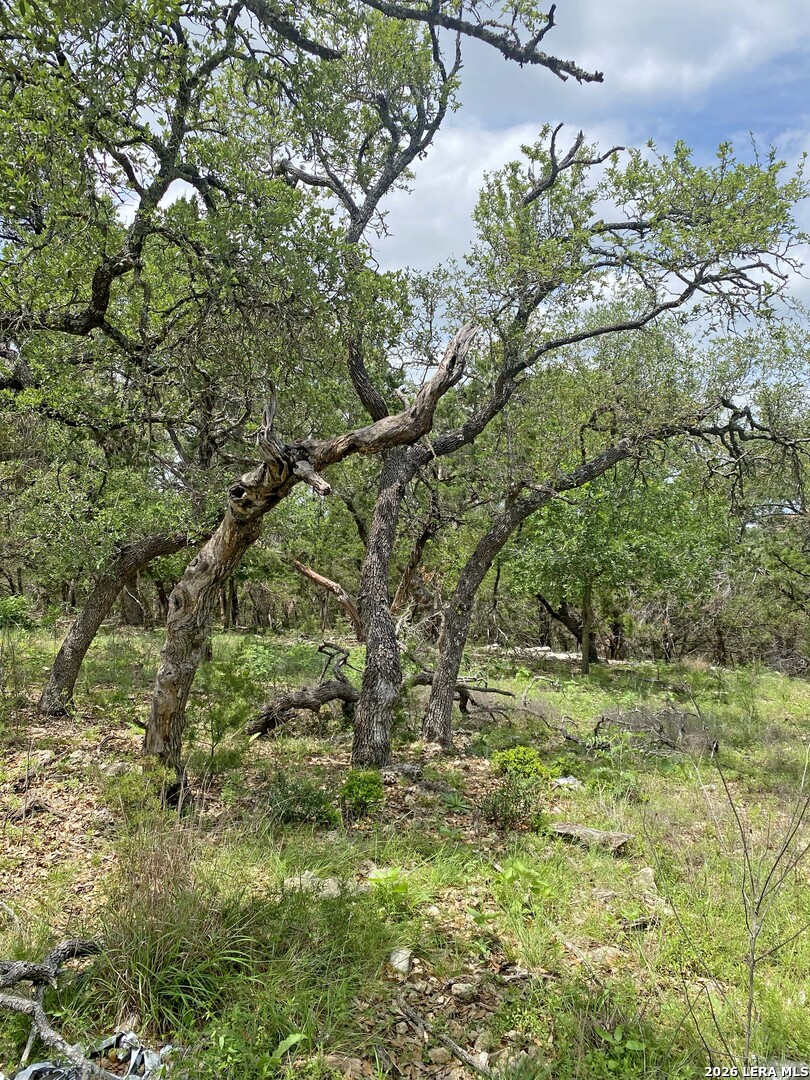 25726 Echo Mountain San Antonio TX 78260