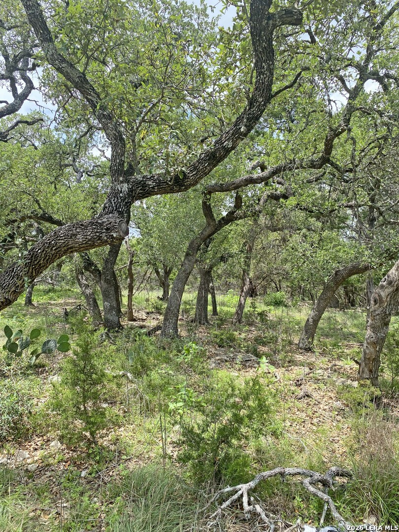 25726 Echo Mountain San Antonio TX 78260