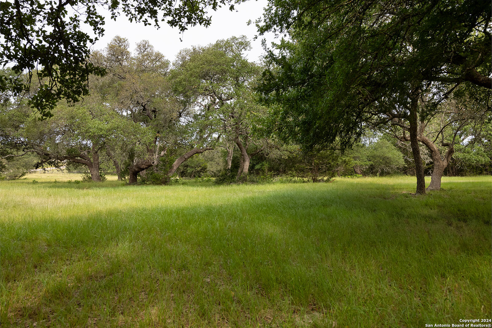 518 Summit Trail Boerne TX 78006