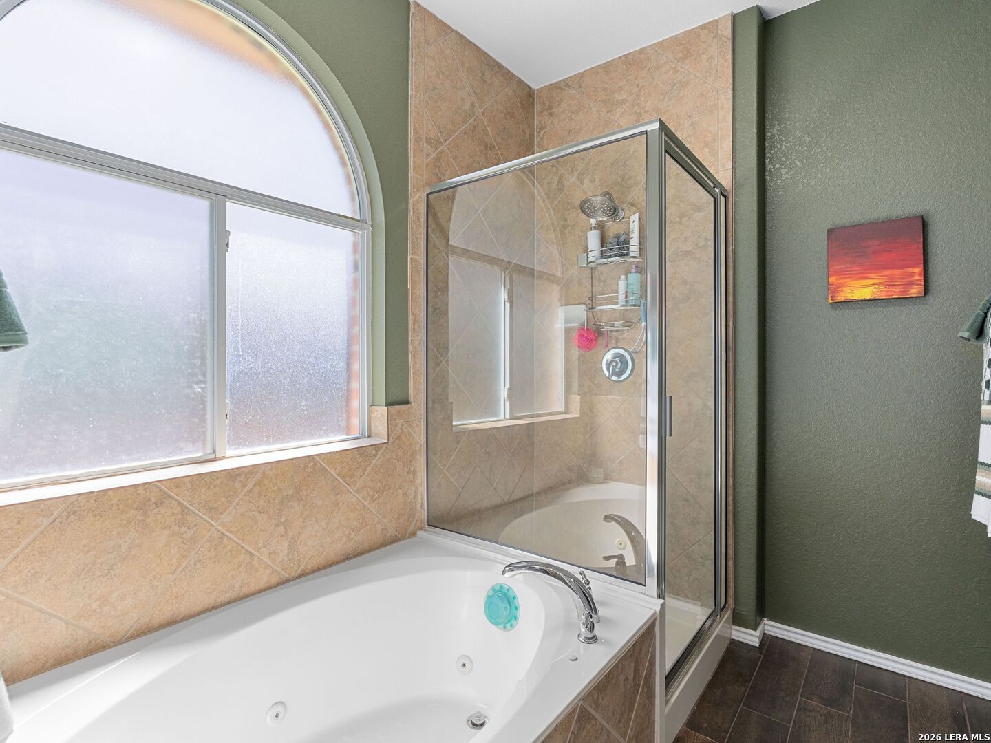145 Yeager Circle Cibolo TX 78108