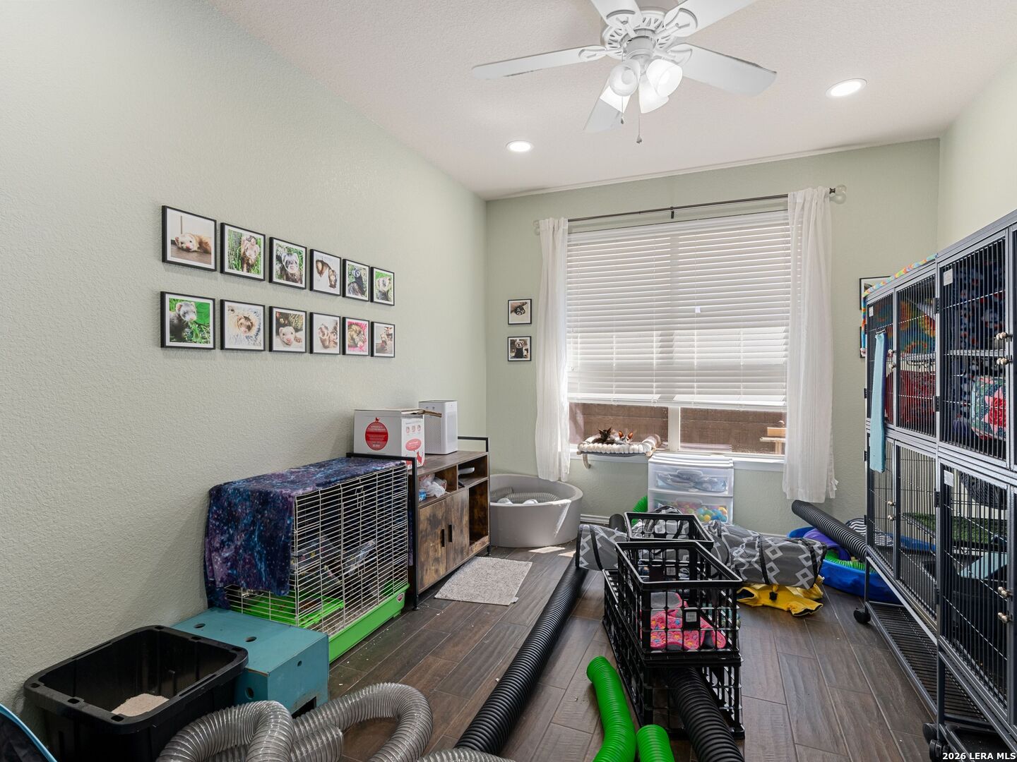 145 Yeager Circle Cibolo TX 78108