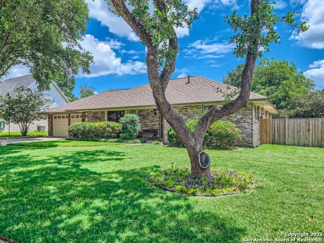 10206 Severn Road San Antonio TX 78217