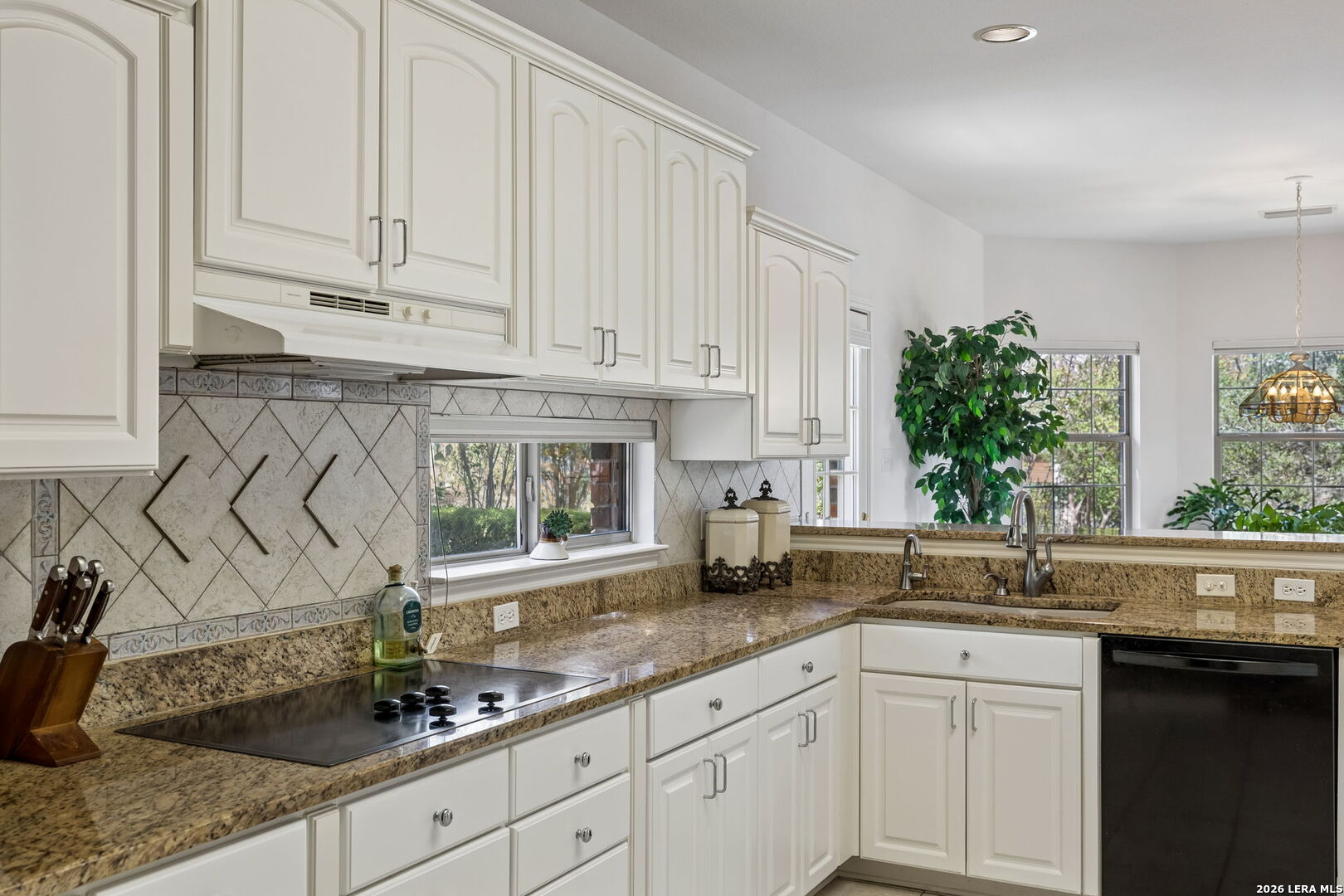 17 Remington Run San Antonio TX 78258