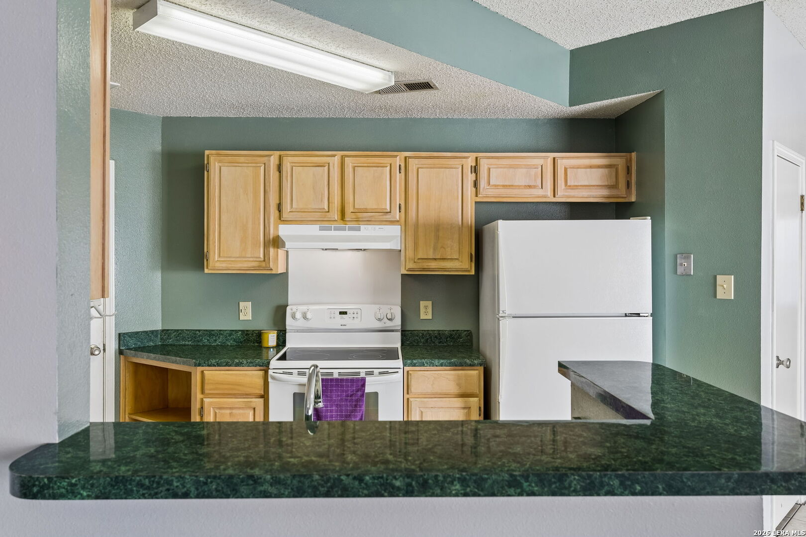 3130 Stoney Grove San Antonio TX 78247