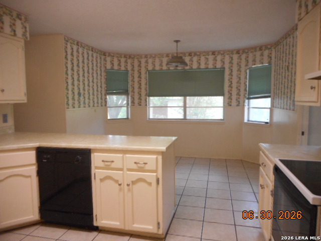 412 Chaparral Drive Pleasanton TX 78064