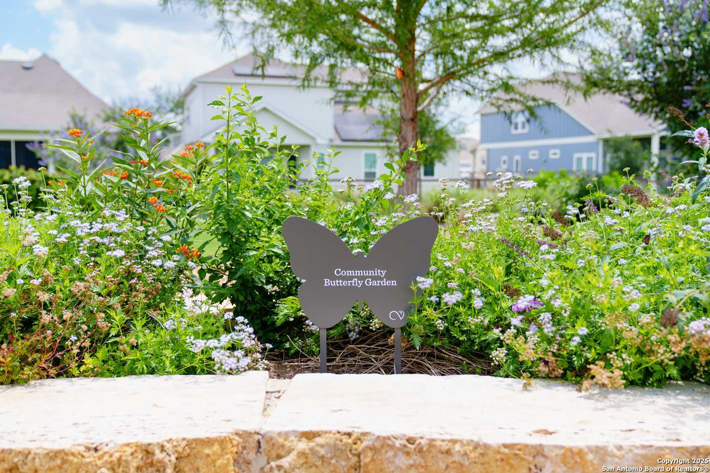 12375 Lost Petal Schertz TX 78154