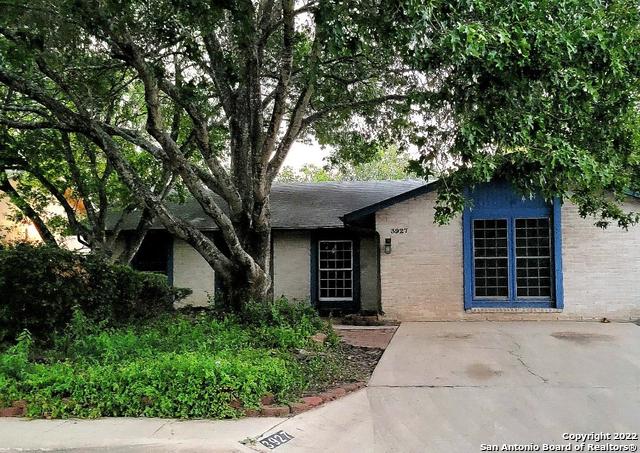 3927 Briar Hollow Street San Antonio TX 78247