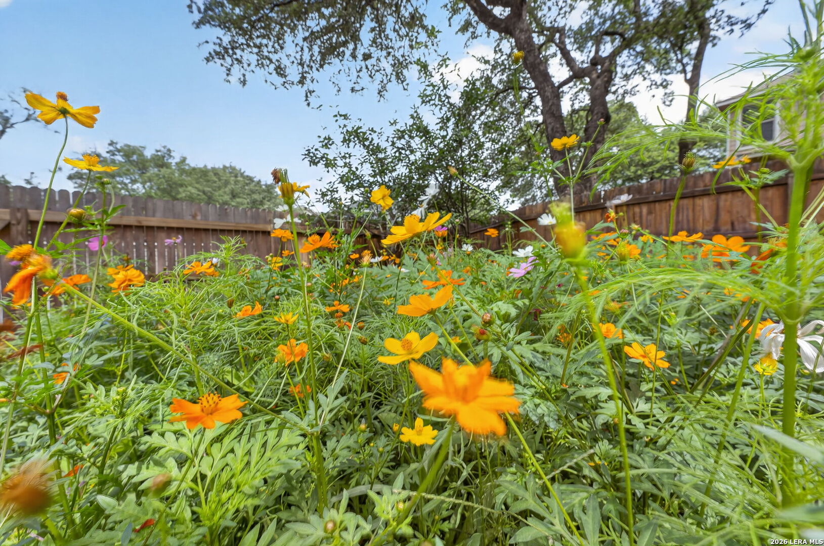 100 Dusty Corral Boerne TX 78006