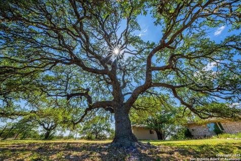 113 Indian Bluff Drive Kerrville TX 78028