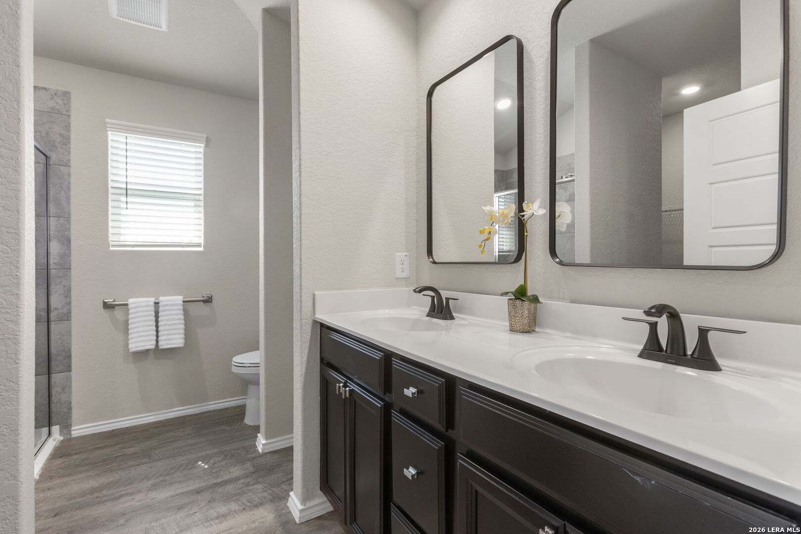 12803 Olson Point San Antonio TX 78252