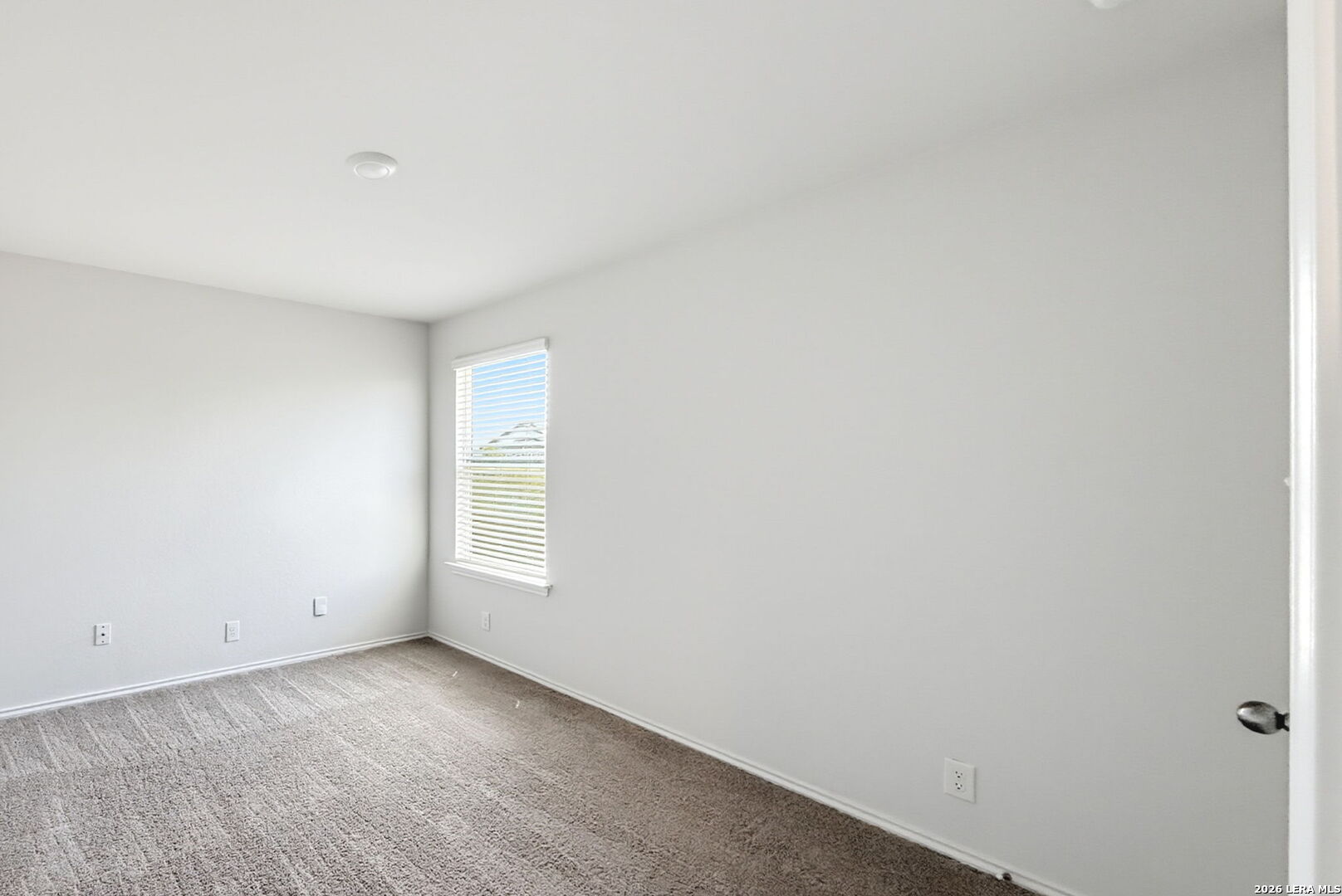 15350 Brown Violetear San Antonio TX 78253