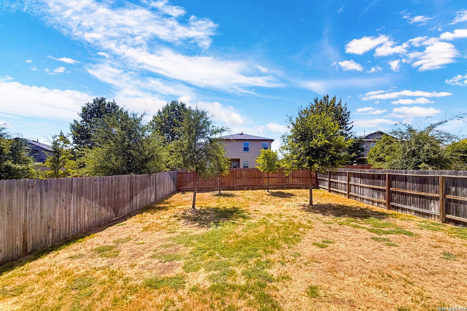 15350 Brown Violetear San Antonio TX 78253