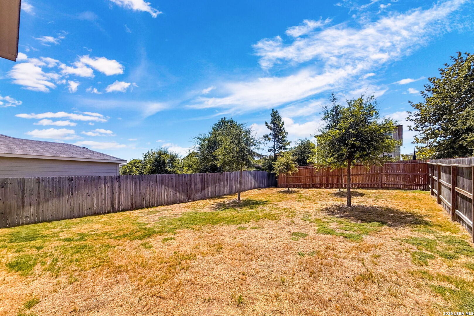 15350 Brown Violetear San Antonio TX 78253