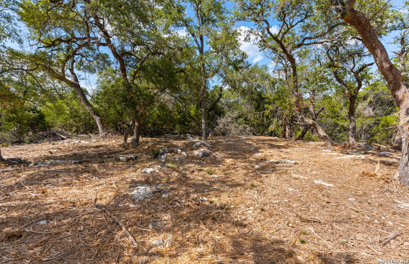 285 Scenic Canyon New Braunfels TX 78132
