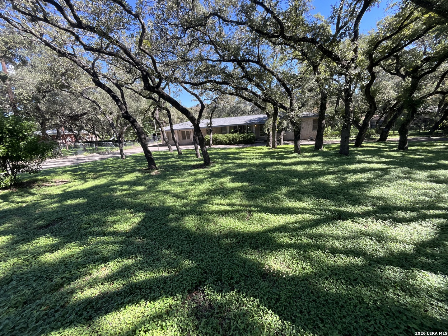 113 Wisteria San Antonio TX 78213