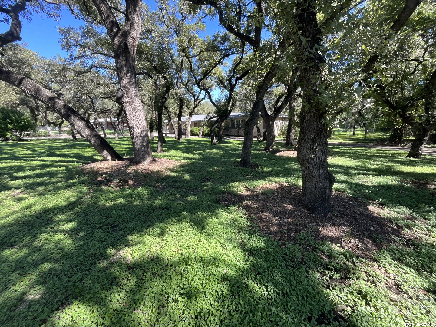 113 Wisteria San Antonio TX 78213