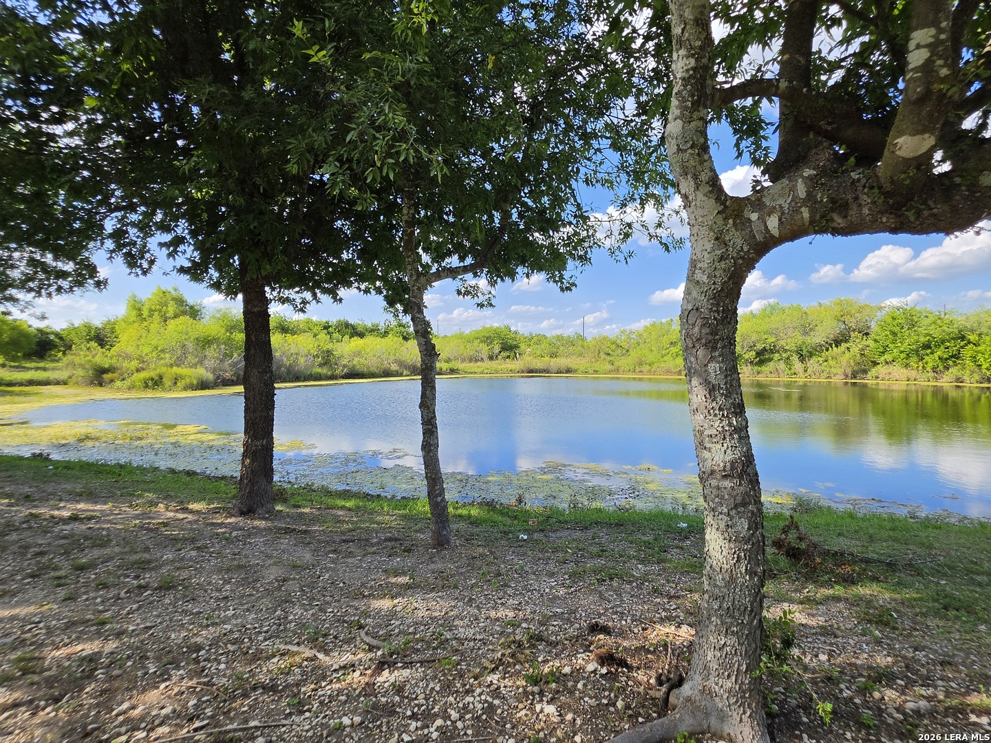 13255 Frogs Leap San Antonio TX 78253