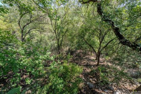 3161 Tanglewood Trail Spring Branch TX 78070
