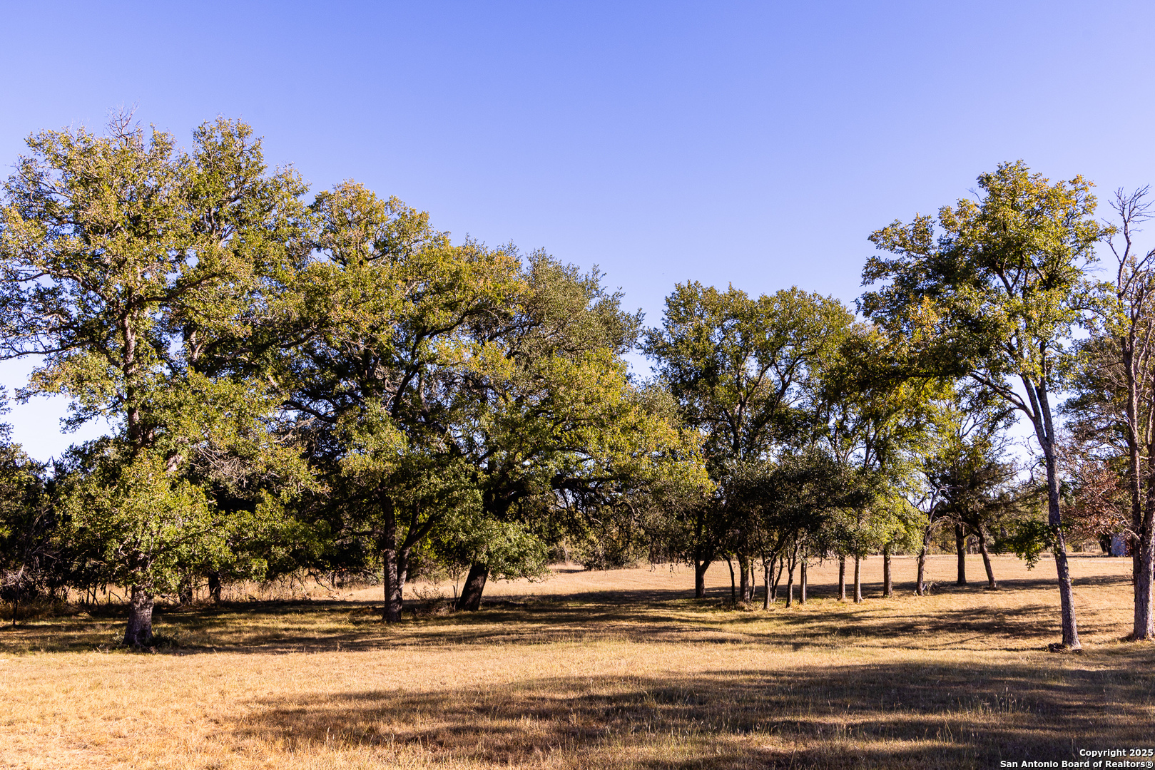 387 Schmidtzinsky Fredericksburg TX 78624