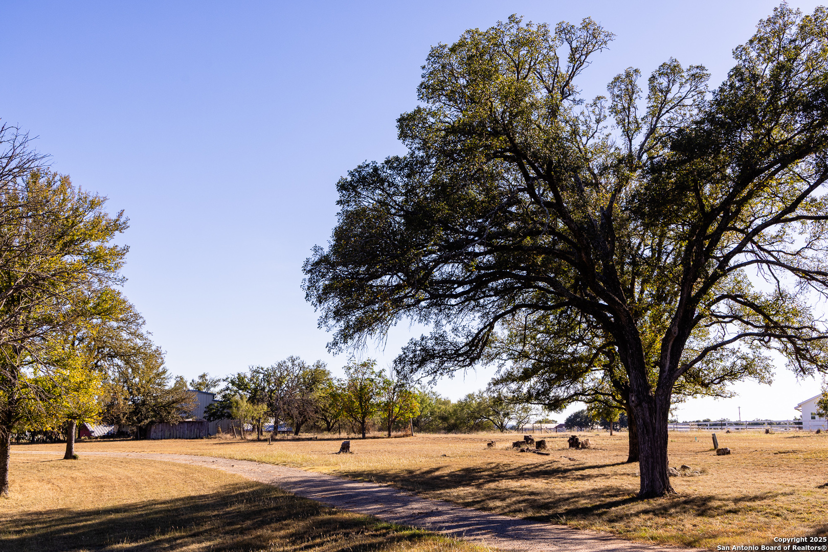 387 Schmidtzinsky Fredericksburg TX 78624