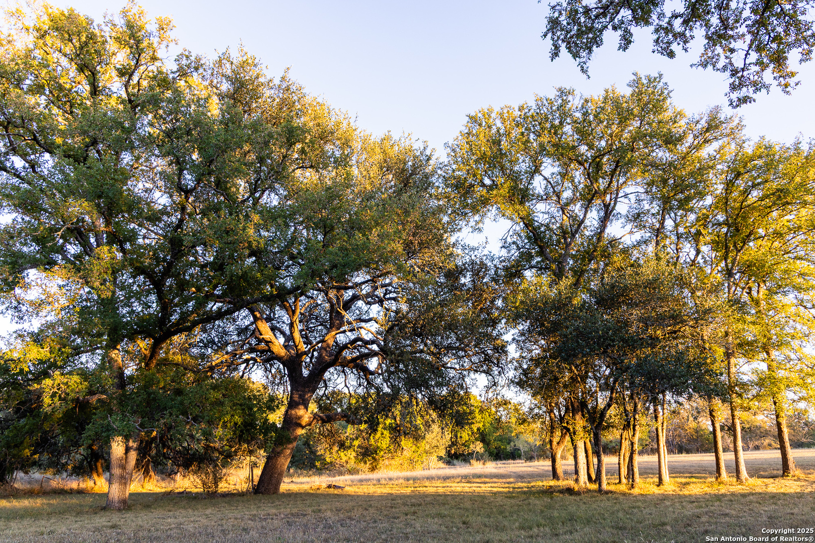 387 Schmidtzinsky Fredericksburg TX 78624