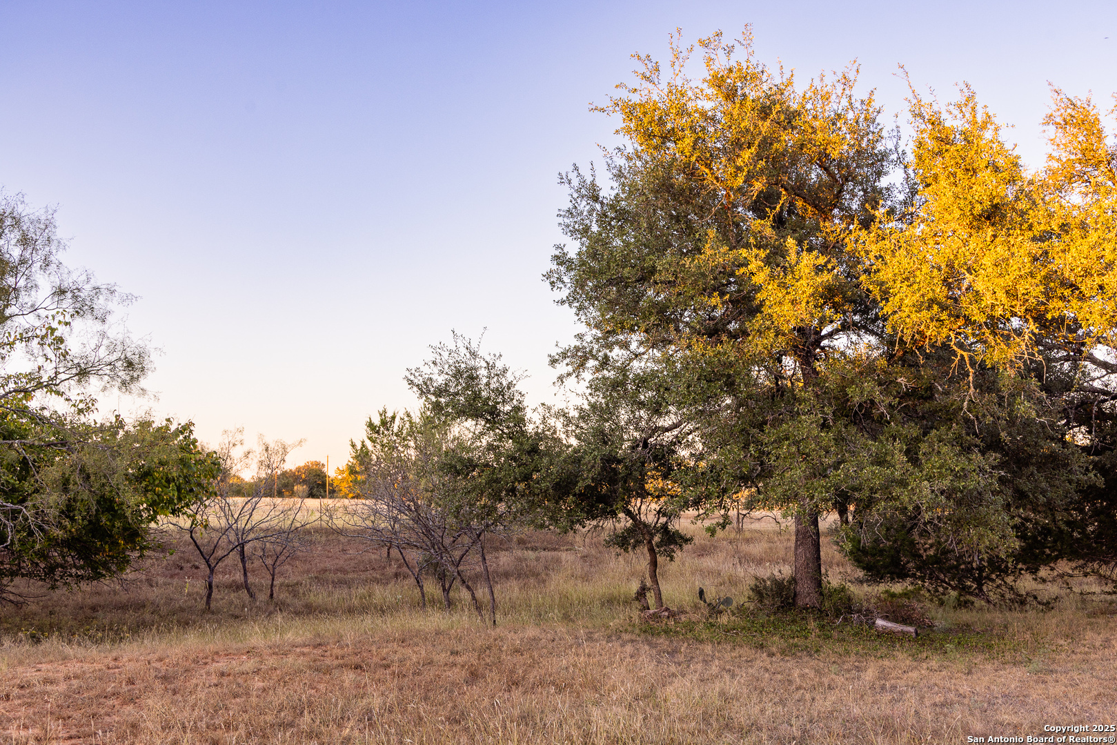 387 Schmidtzinsky Fredericksburg TX 78624