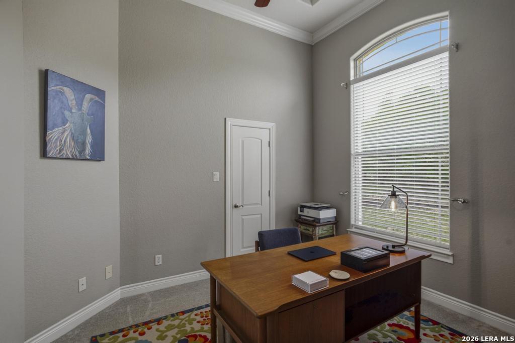 101 Shady Ridge Drive Boerne TX 78006