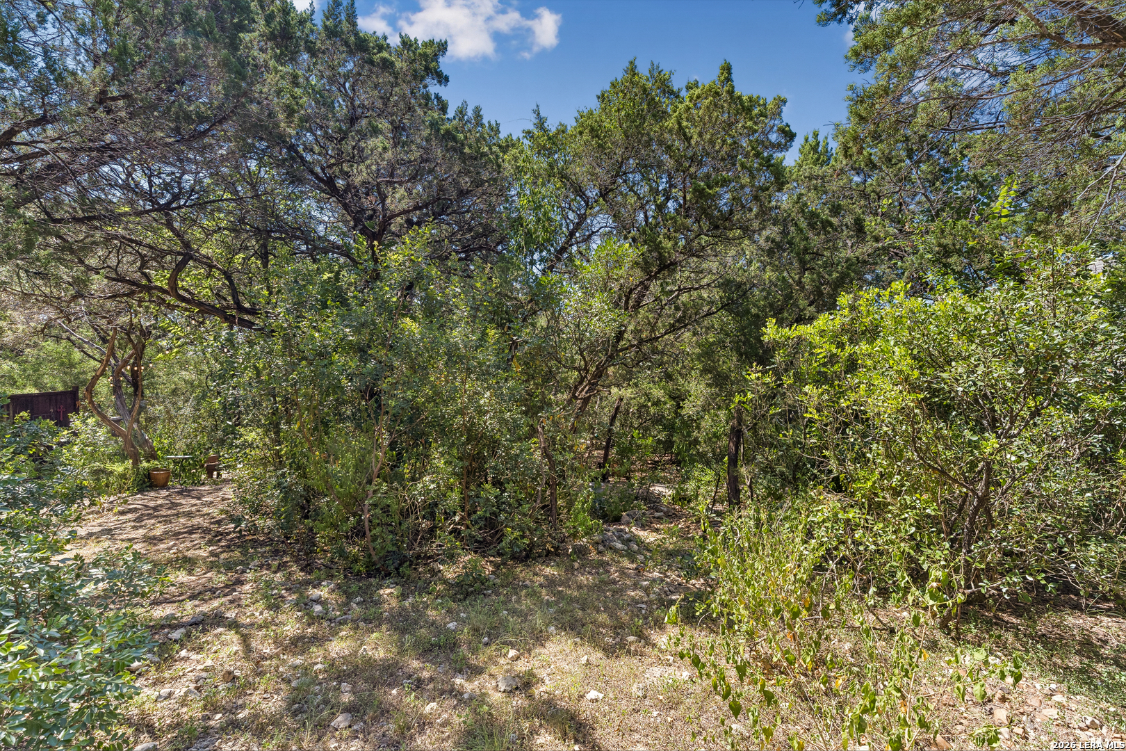 19002 Sweet Mary San Antonio TX 78255