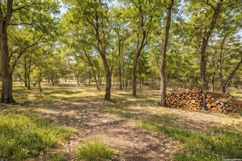 408 Rust Ranch Road Blanco TX 78606