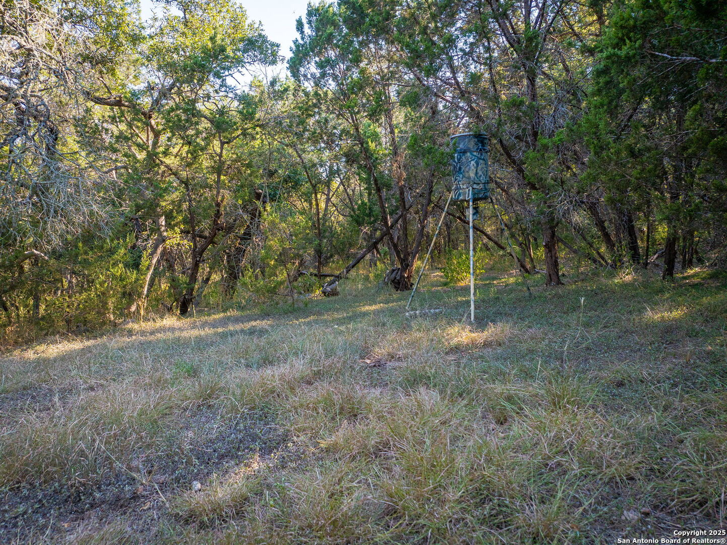 6531 Wegner Road New Braunfels TX 78132