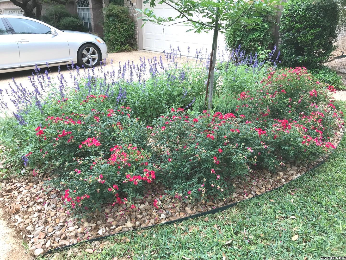 1710 Antler Crossing San Antonio TX 78248