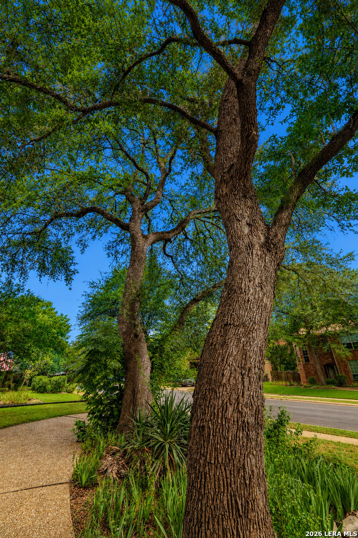 13107 Winding Creek San Antonio TX 78231