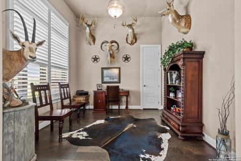 1186 Via Principale New Braunfels TX 78132