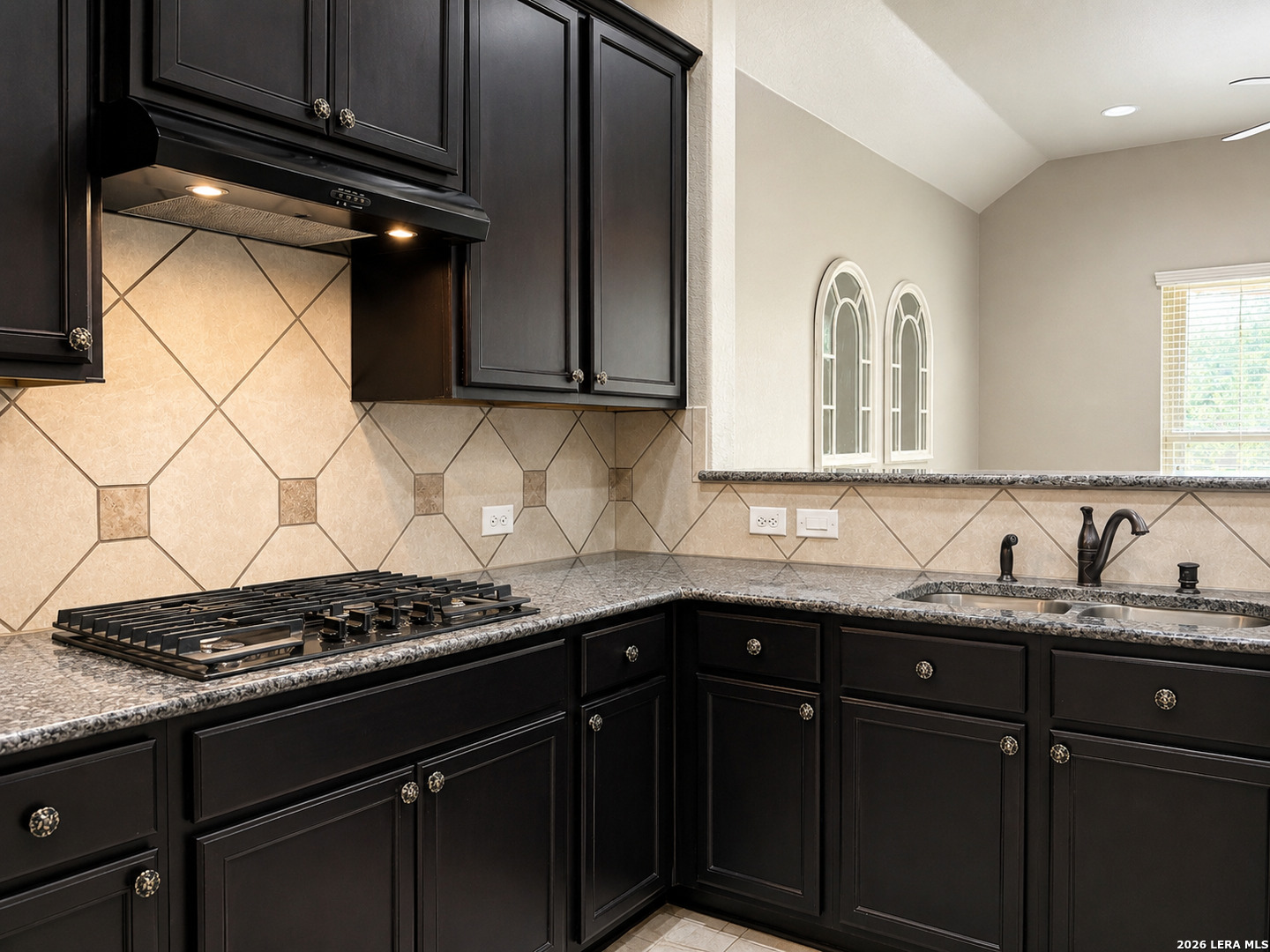 8623 Pinto Canyon San Antonio TX 78254