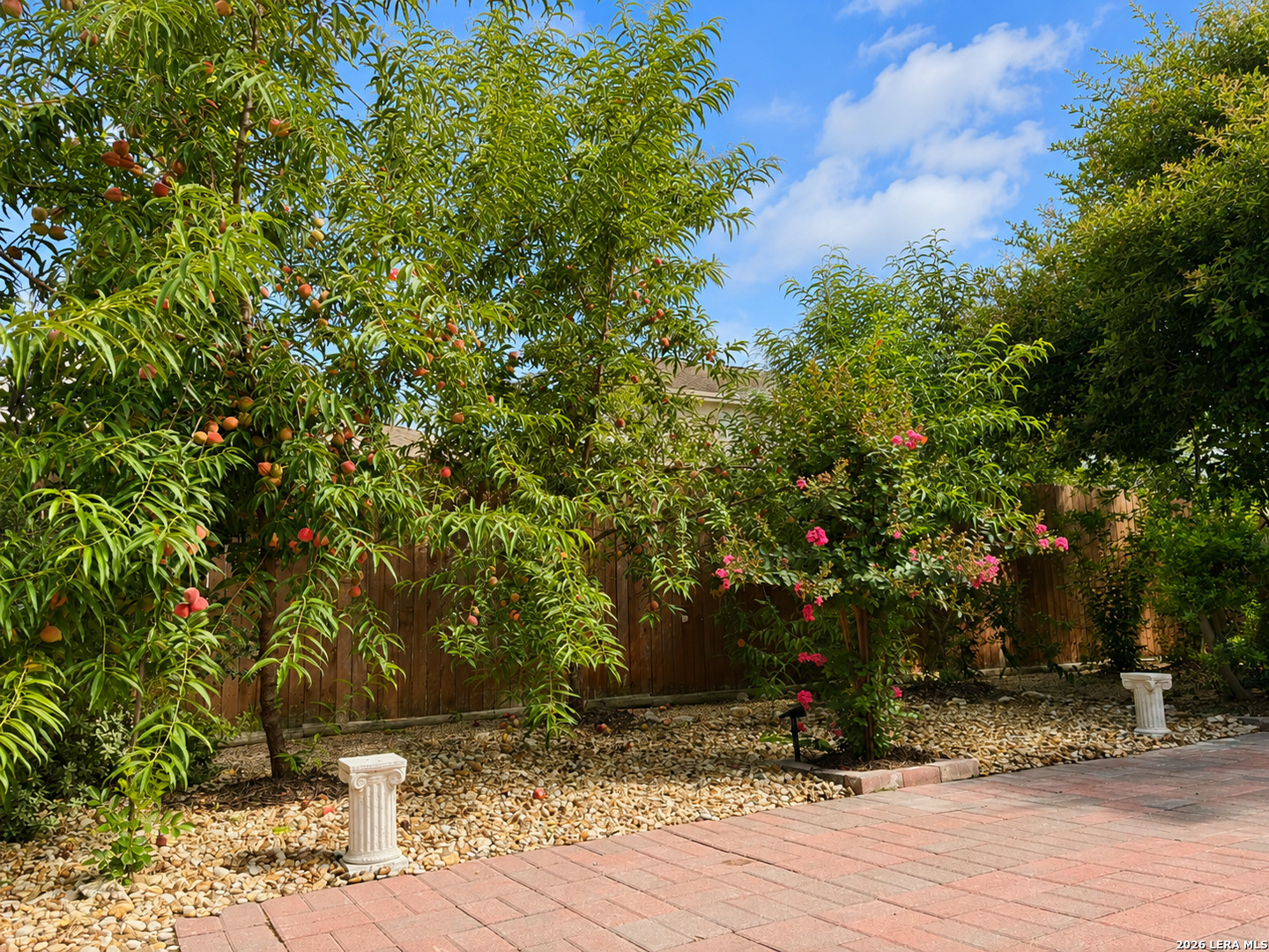 8623 Pinto Canyon San Antonio TX 78254