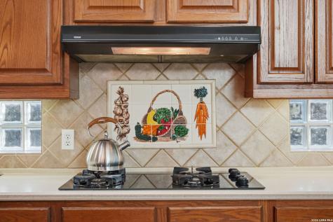 1619 Fawn Bluff San Antonio TX 78248