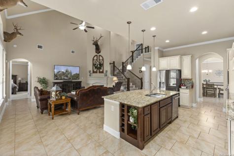 32167 Mustang Hill Bulverde TX 78163