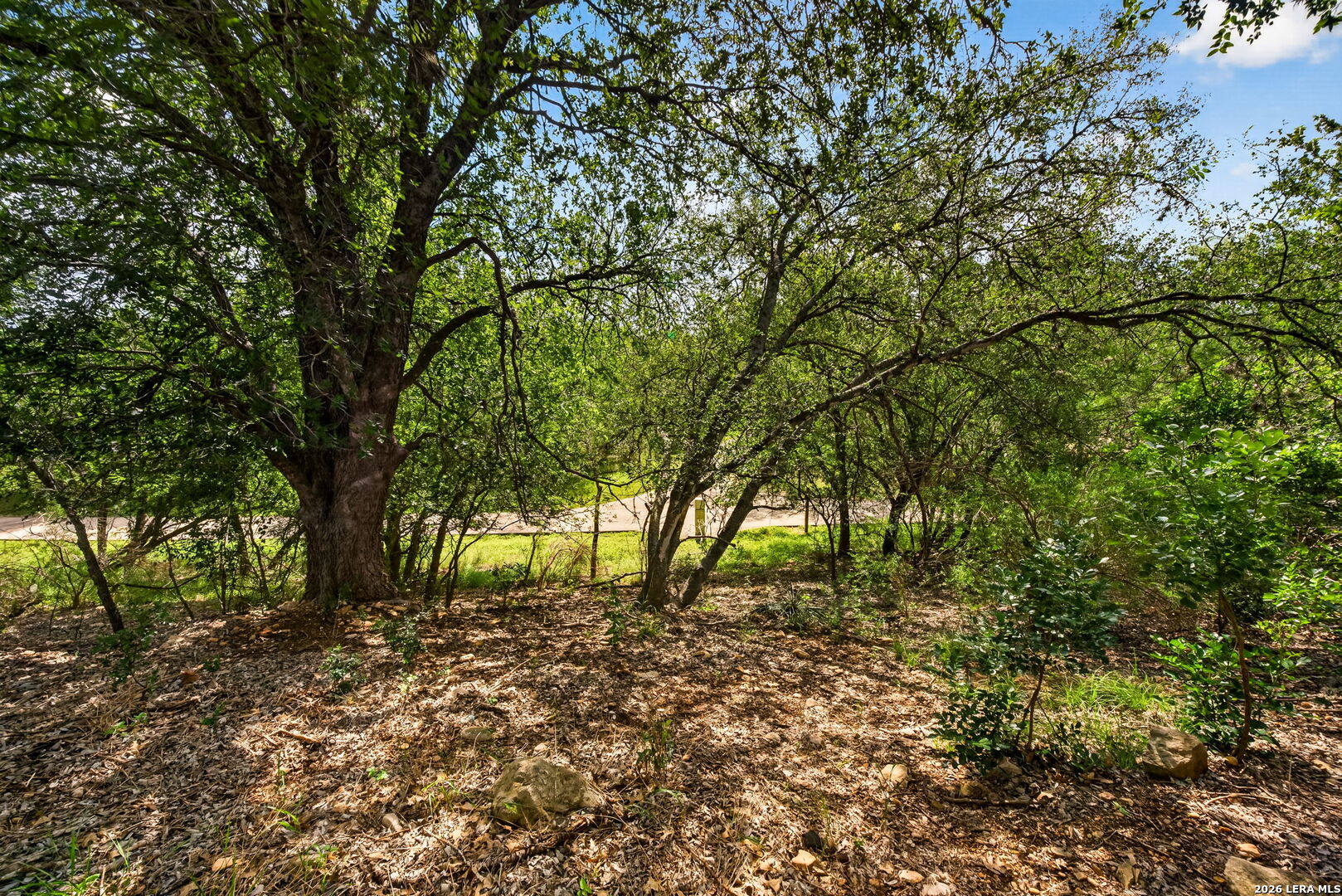 8720 Thatch San Antonio TX 78240